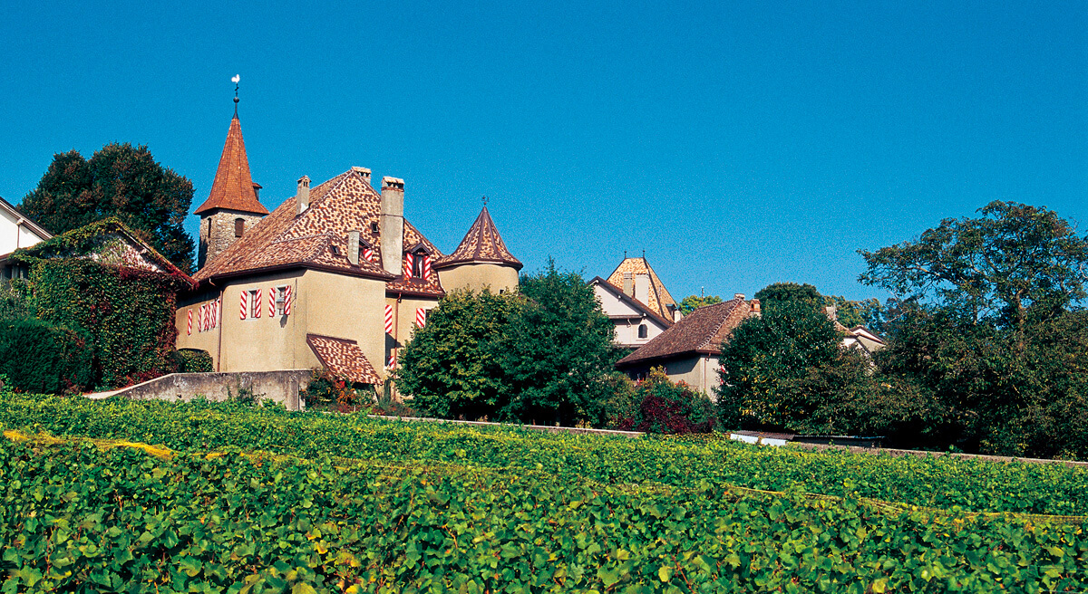 Chateau de Rochefort