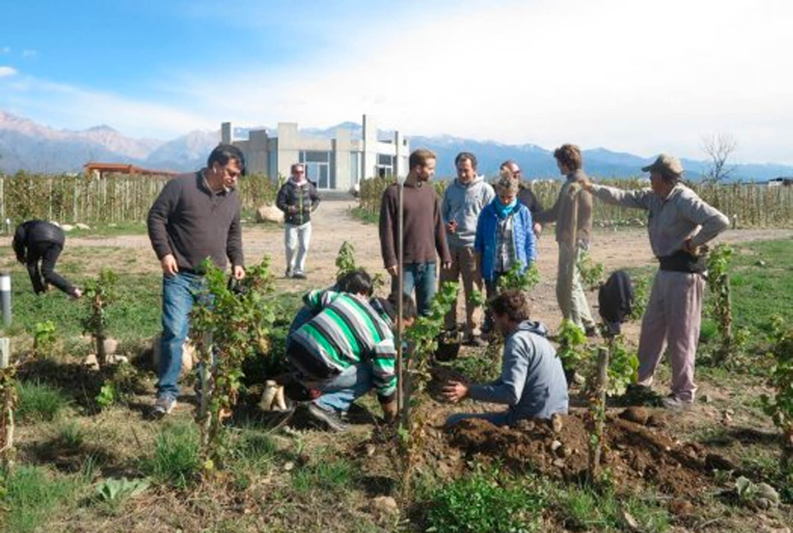Actions for sustainability in Argentinean Viticulture
