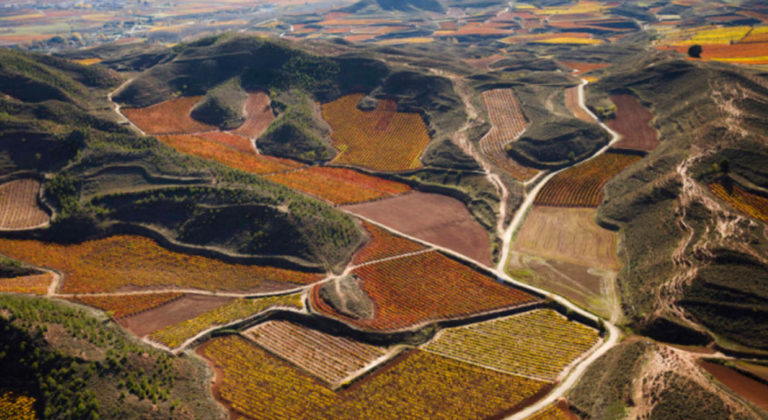 High-level e-learning platform to improve your knowledge about wines from Rioja