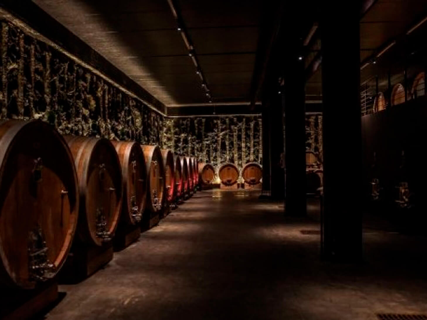 Wine and Sustainability in Verona