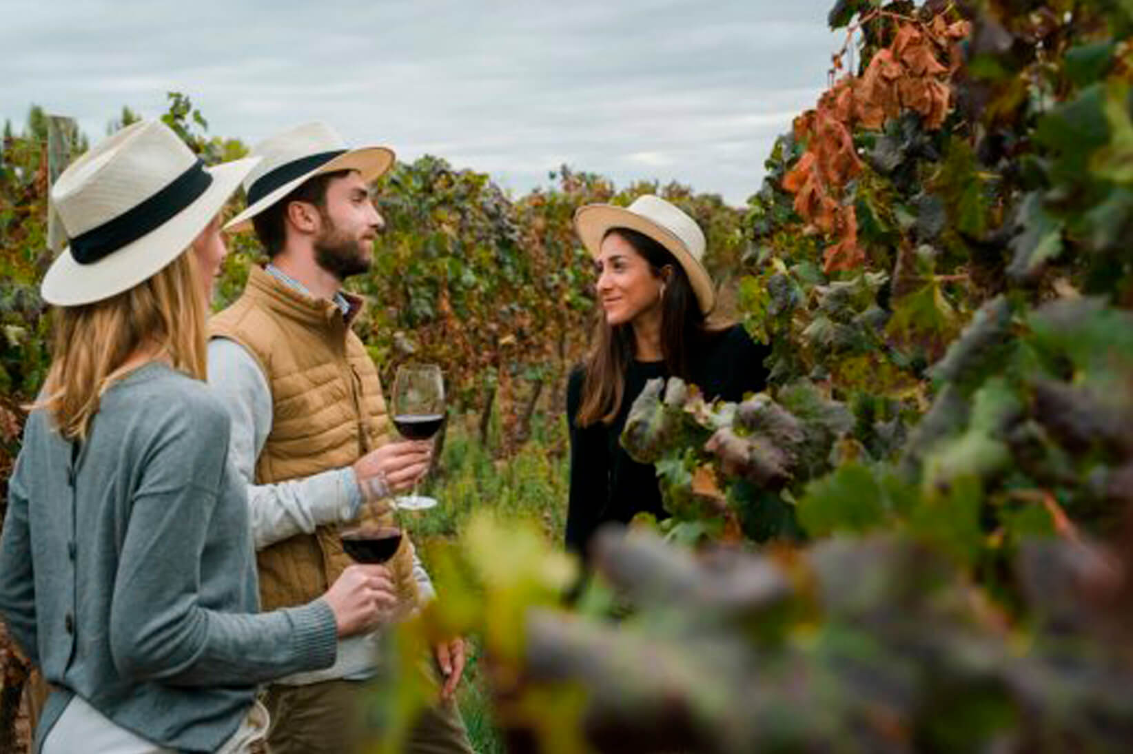 Wineries in Mendoza choose sustainability