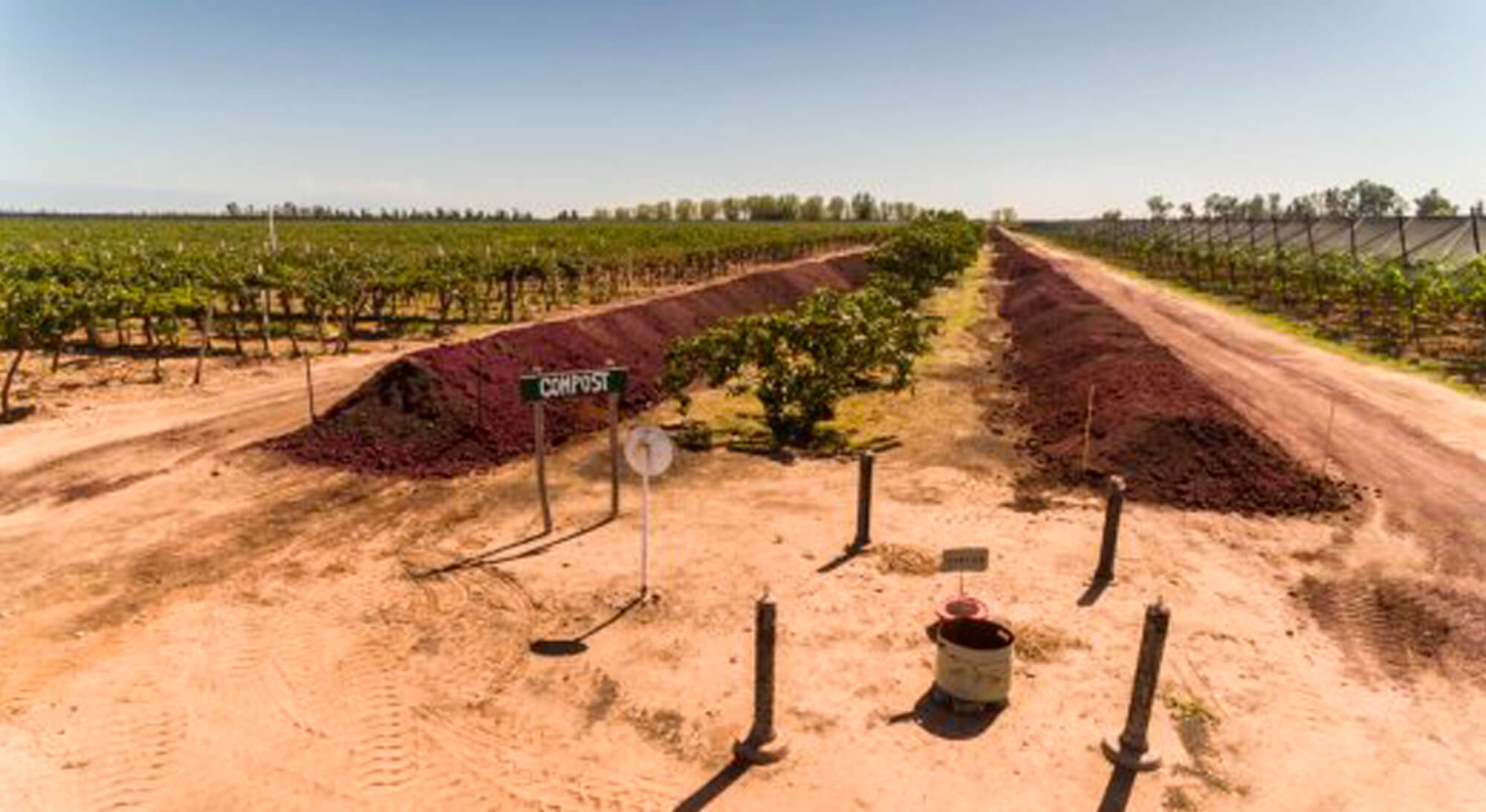 Wineries in Mendoza choose sustainability
